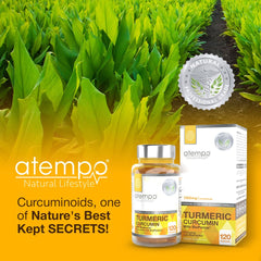 Clean formula and high-potency turmeric composition