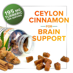 Joint support benefits illustration from gummies