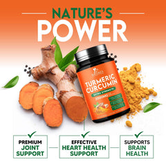 Organic turmeric root illustration