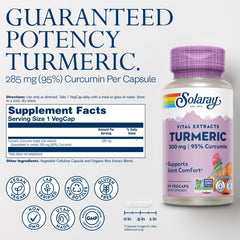 Turmeric root extract 95 percent curcumin illustration