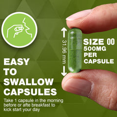 Graphic showing two-ingredient formula: moringa leaf powder and capsule shell