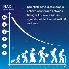 NMNH product packaging box