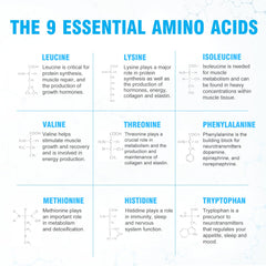 Branding indicating no artificial ingredients and GMP-certified facility