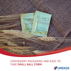 Lactic acid bacteria as a core ingredient of Umeken Lipopo