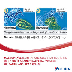 Diagram illustrating Lipopolysaccharide (LPS) representation