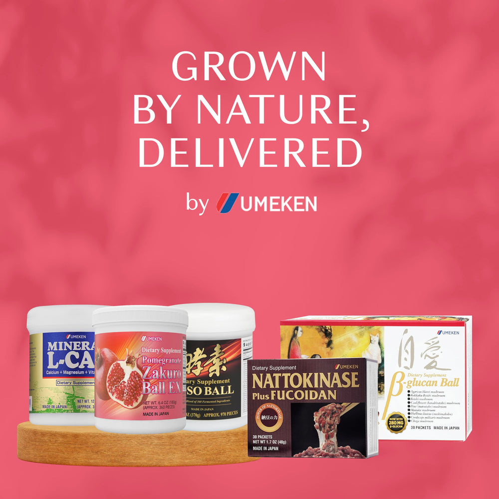 Japanese-made Umeken Pomegranate Balls container