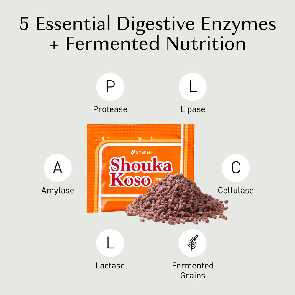 Illustration of fermented vegetables and grains used in enzymes