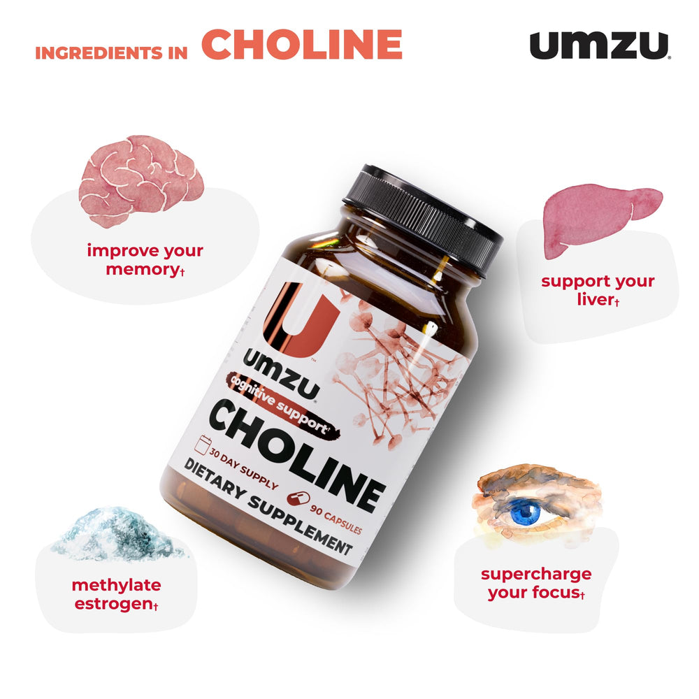 Graphic illustrating liver support and metabolism