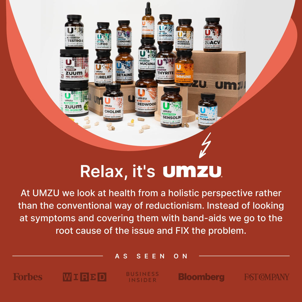 Lifestyle image showing focus and productivity