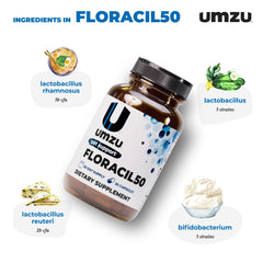 Visual concept of gut-brain connection and microbiome health