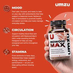 Close-up of bottle label with key ingredients