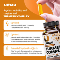 Antioxidant-rich turmeric complex blend