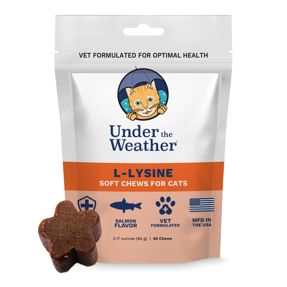 Close-up of L-Lysine cat treats for immune support