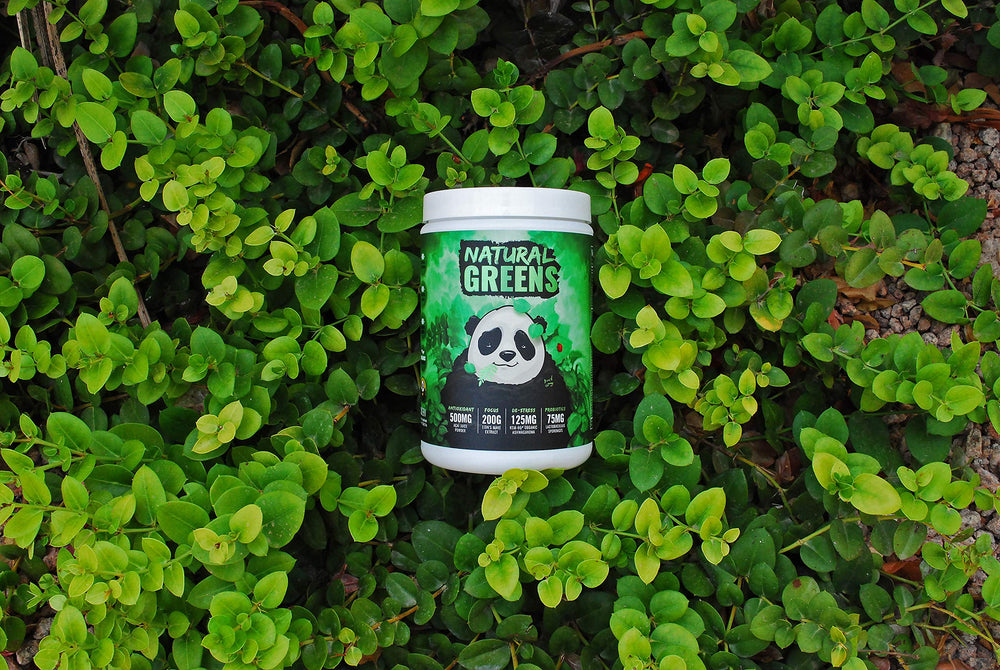 KSM-66 Ashwagandha and Lions Mane ingredients illustration for Panda Supps