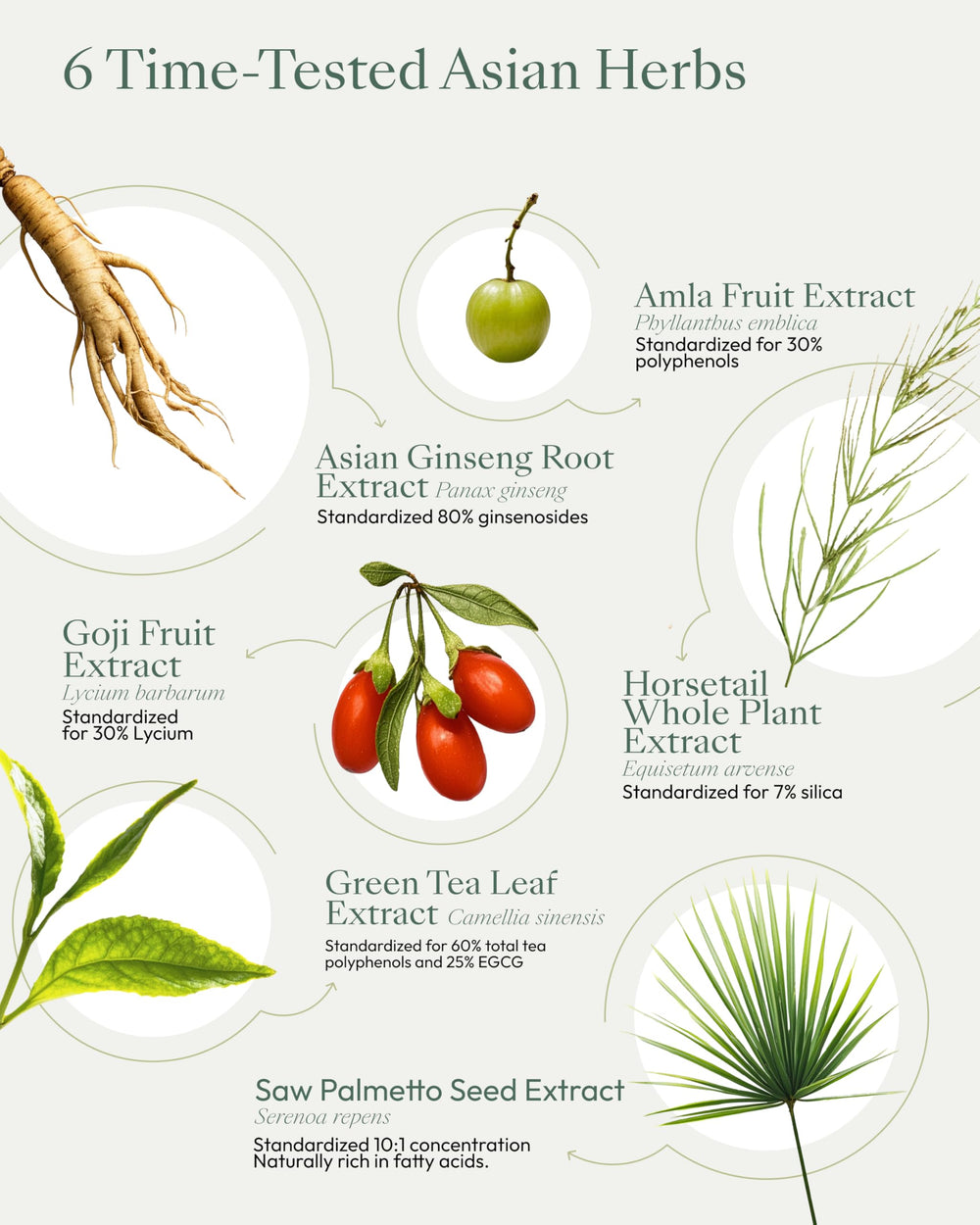 Herbal blend ingredients: amla, ginseng, saw palmetto