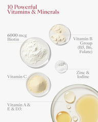 Close-up of Wildberry-flavored gummies