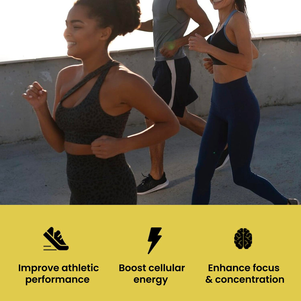 Comparison: micronized creatine vs capsules