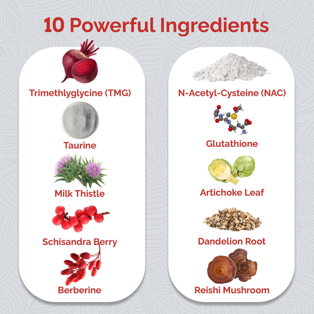 Illustration of key ingredients NAC, TMG and milk thistle in Ultra Liver