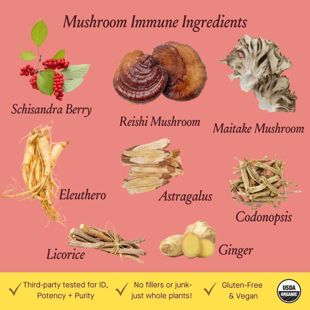 Herbal immune support formula for year-round resilience with medicinal mushrooms.