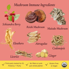 Herbal immune support formula for year-round resilience with medicinal mushrooms.