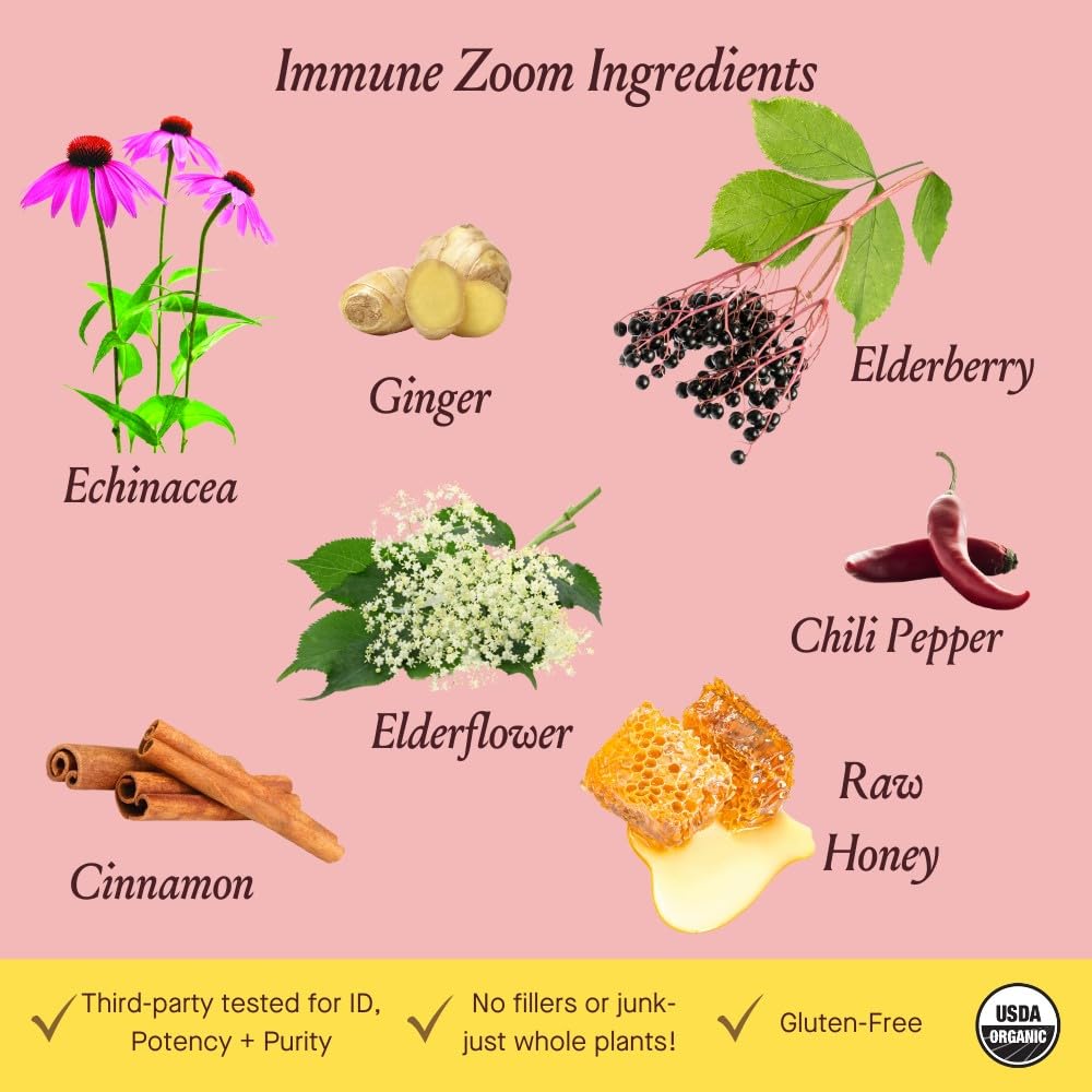 Illustration of elderberry, echinacea, and honey ingredients for Immune Zoom
