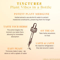 Ginger and fennel components of the digestive bitters
