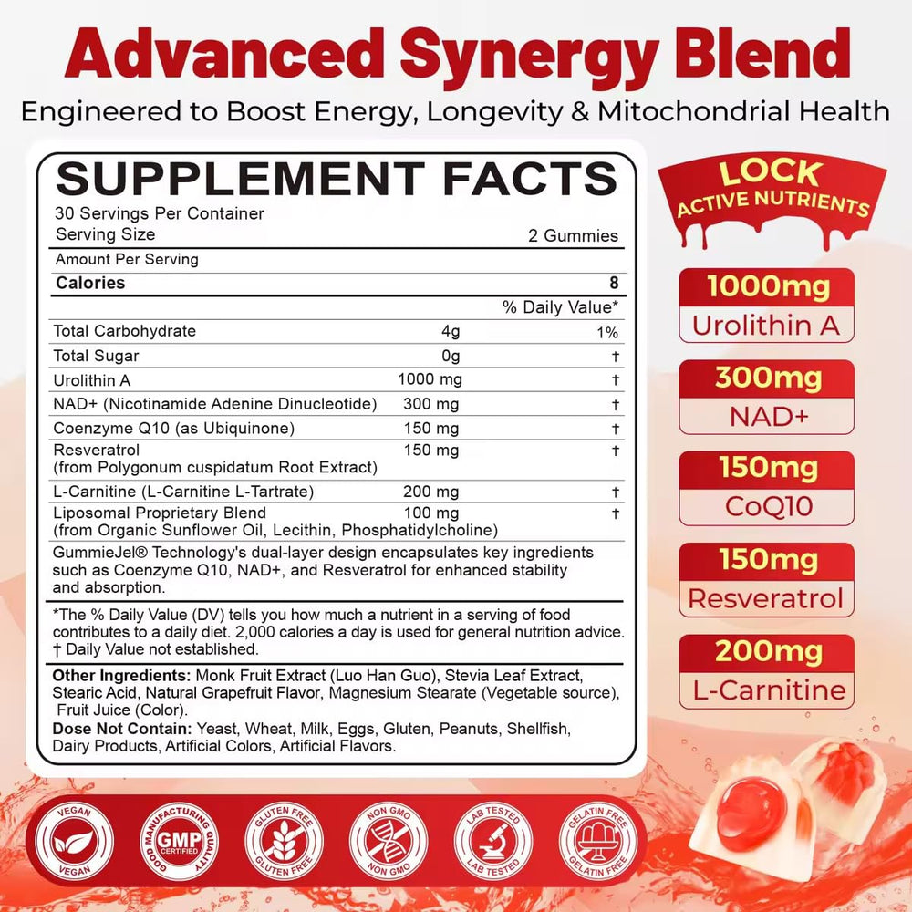 Back view of Urolithin A Gummies bottle showing label