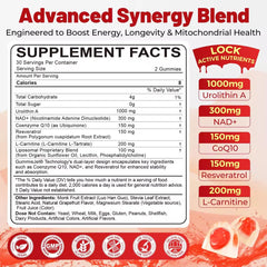 Back view of Urolithin A Gummies bottle showing label