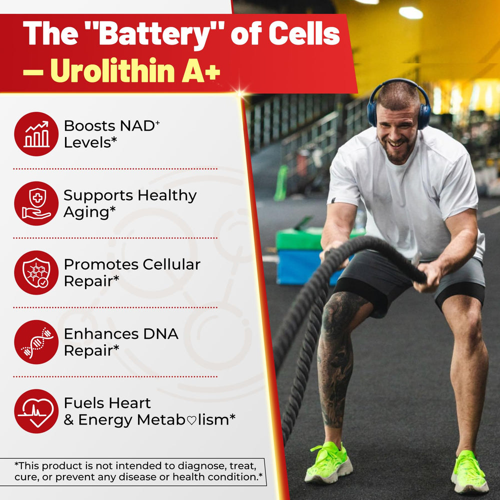 Ingredients panel for Urolithin A Gummies
