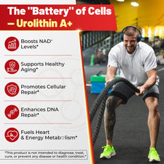 Ingredients panel for Urolithin A Gummies