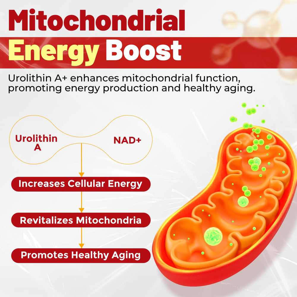 Urolithin A Gummies label and supplement facts
