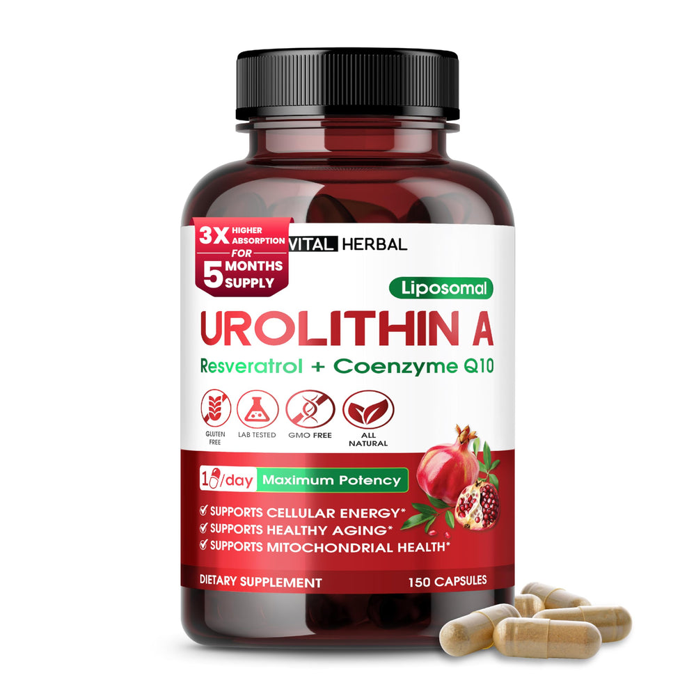 Hero image of Urolithin A supplement with Resveratrol and CoQ10