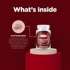 GMP-certified USA facility quality testing label