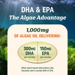 Interior of USA-made GMP-certified facility