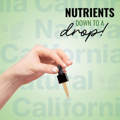 USA-sourced oregano ingredients
