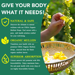 Usage instructions for mullein drops dosage