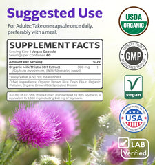 GMP-certified manufacturing facility for milk thistle capsules