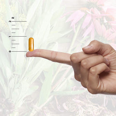 D-Mannose 1955mg supplement highlighted in UT Answer