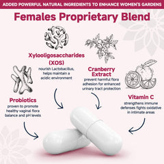 Illustration of Lactobacillus strains: L. rhamnosus, L. acidophilus, L. reuteri