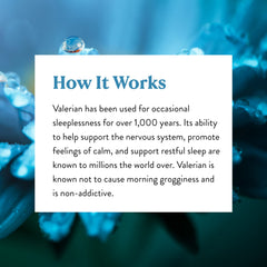Valerian root capsules emphasizing relaxation and sleep support