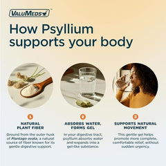 ValuMeds Psyllium Husk 800-count bottle