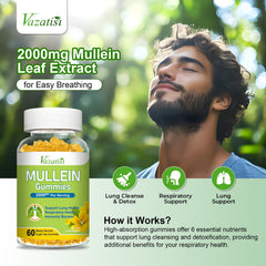 Illustration of 6-in-1 lung detox formula ingredients