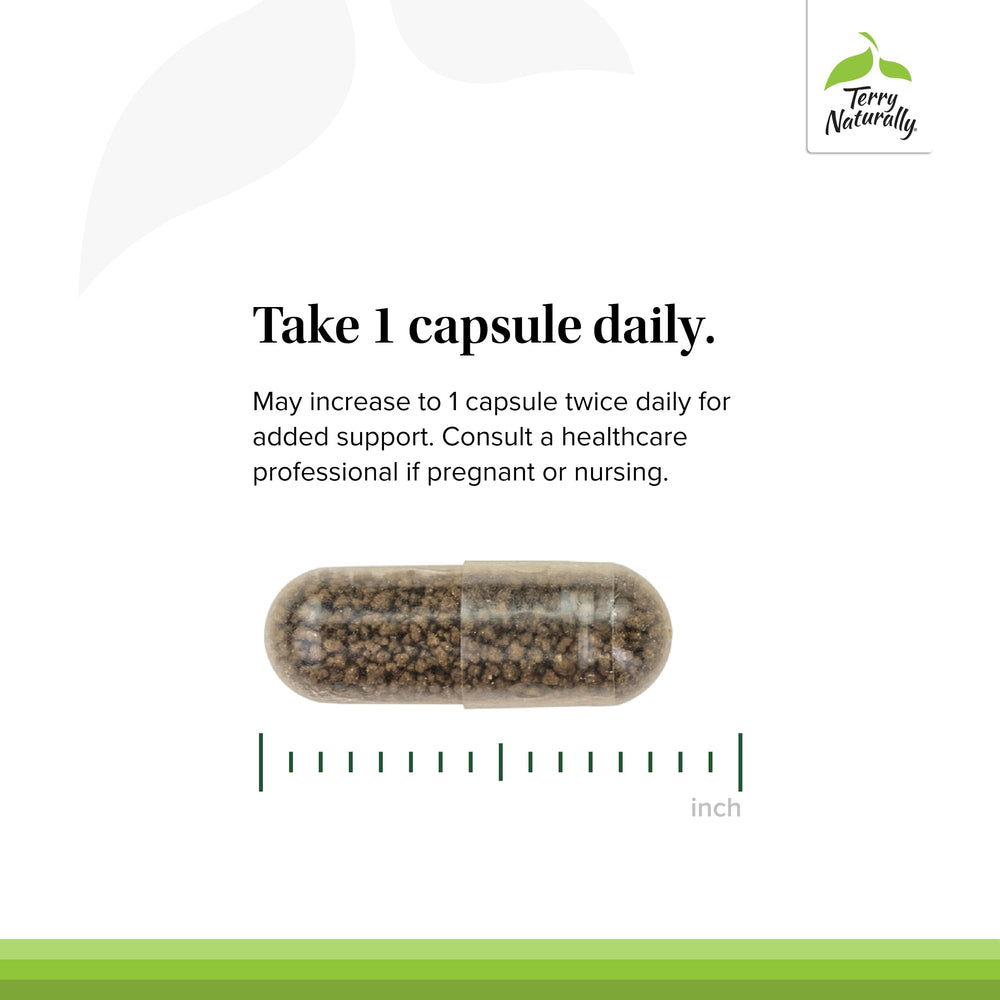 Terry Naturally Vectomega bottle with 60 capsules
