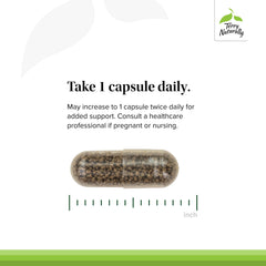 Terry Naturally Vectomega bottle with 60 capsules