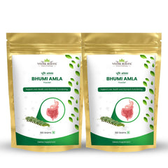 VEDIKROOTS Organic Bhumi Amla powder 100g pack 2 front view