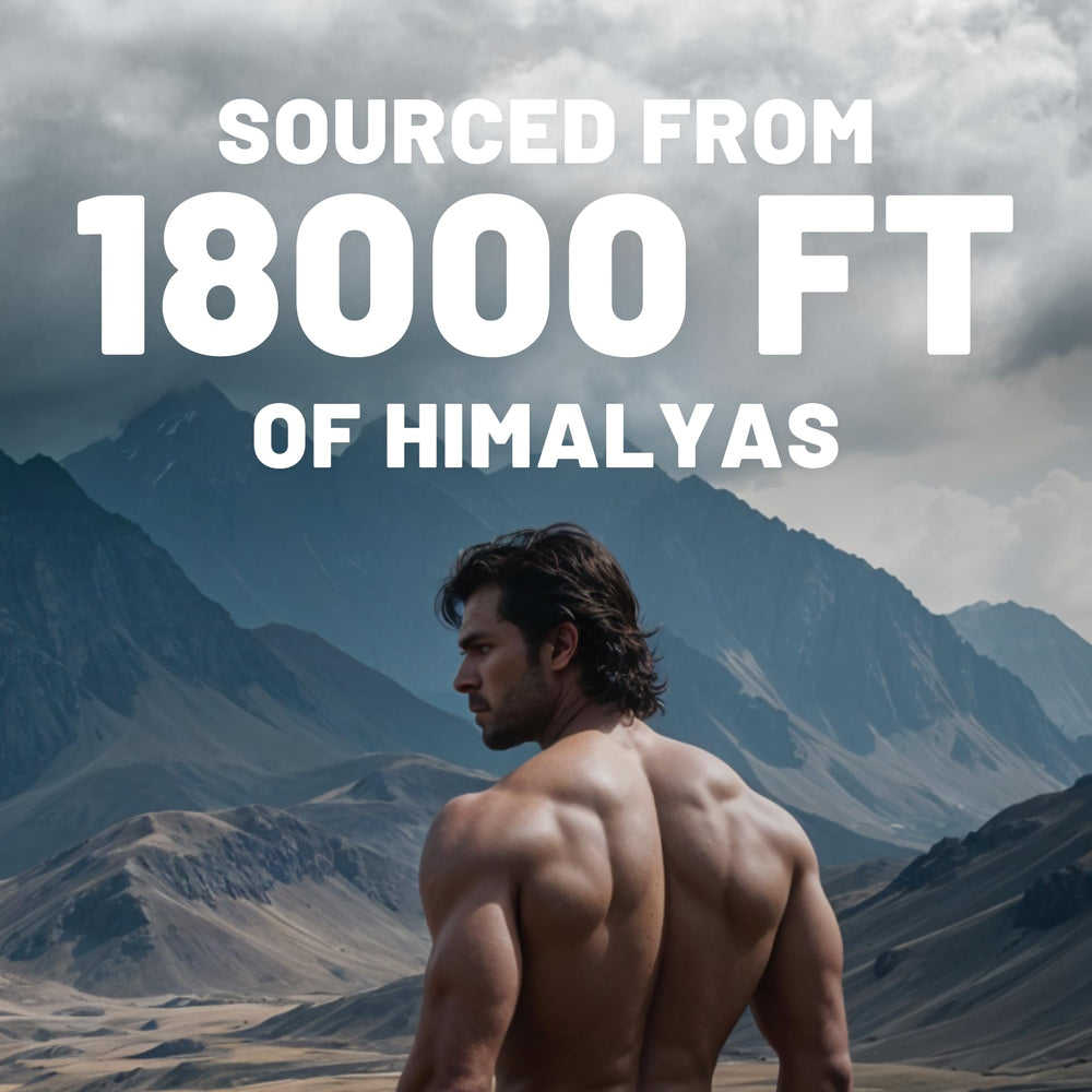 Pure Himalayan Shilajit resin packaging and jar