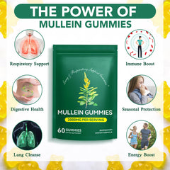 Vegan mullein gummies – 120 gummies in two-pack set