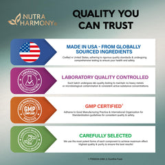 Vegan Lions Mane capsules highlighting non-GMO and plant-based formula