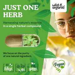 Vegan capsules with plant-based coating