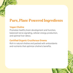 Plant-based vegan choline from organic greens